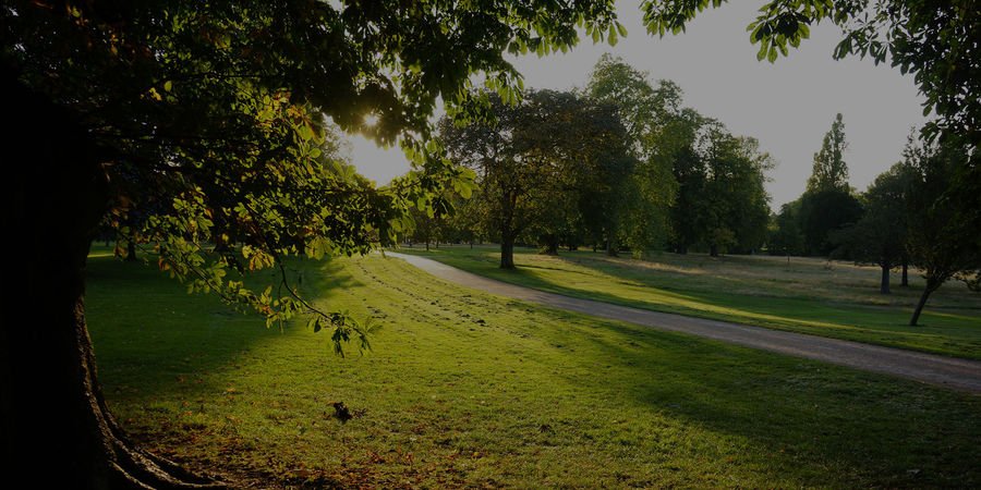 Home Surveying — BC Property UK